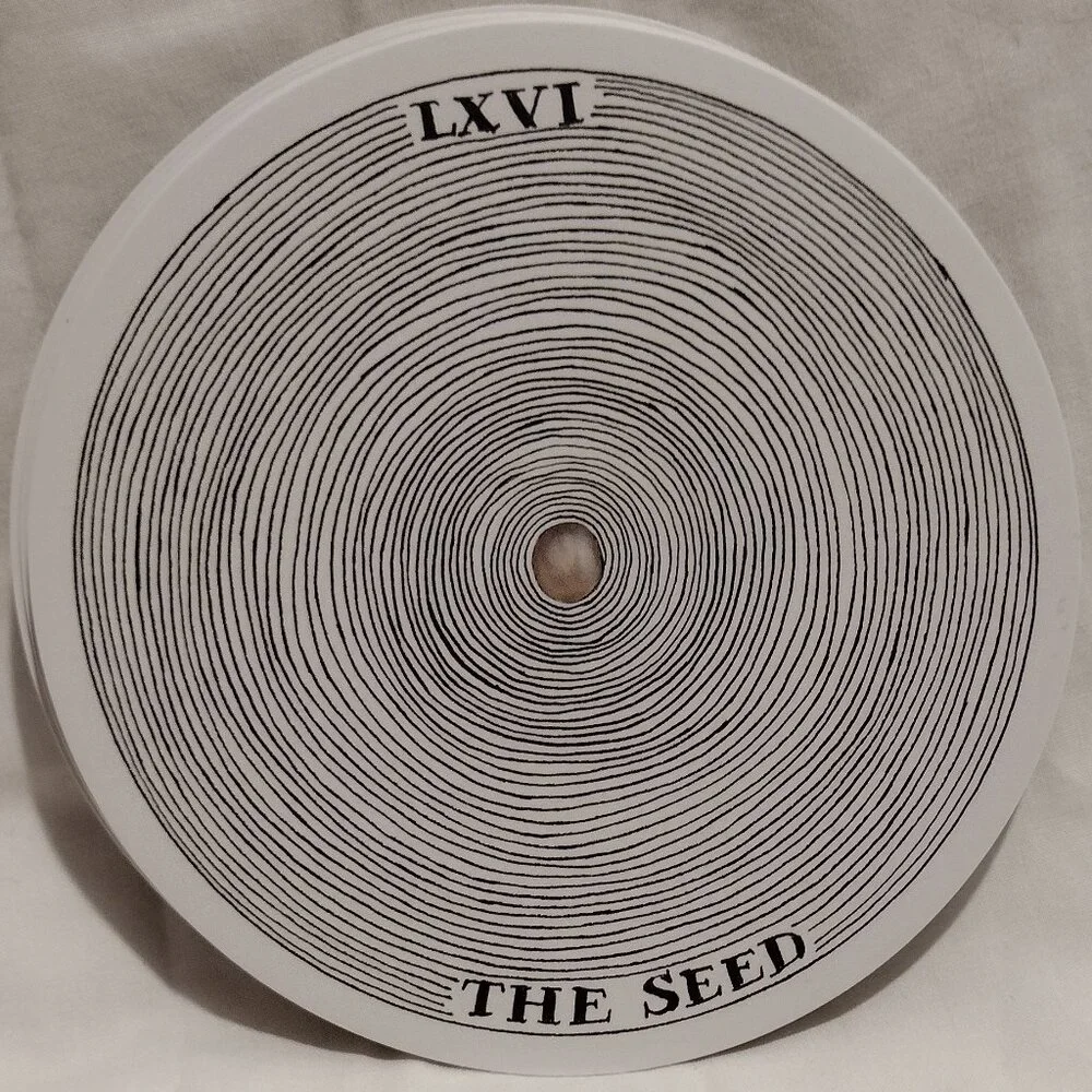 The Wild Unknown Archetypes - Picture 12 of 13